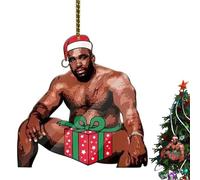 Barry Funny Acrylic Meme Christmas Ornaments | Barry Gag Lovely Tree Ornament Gift,Small Car Rearview Charm Decor for SUV Vehicle Dashboard Living Room Bedroom Kitchen Balcony Offices