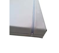 Barry & Lucy Matelas pour Chien Amovible - Tapis De Couchage Chiot, Coussin Place en Simili Cuir, Plusieurs Couleurs (105x75x10, Argent)