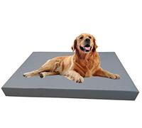 Barry & Lucy Matelas pour Chien Tapis De Couchage Chiot Lit pour Chien Amovible Coussin pour Chien Place pour Chien Simili Cuir, Plusieurs Couleurs (125x100x10, Gris)