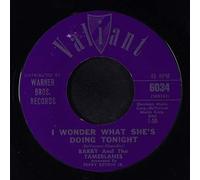 BARRY & TAMERLANES - i wonder what she's doing tonight 45 rpm single