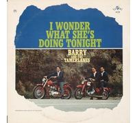 Barry & the Tamerlanes - I Wonder What Shes Doing Tonight [Import]