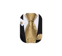 Barry.Wang Men Tie Solid Silk Tie Pocket Square Cufflinks Set Wedding Plain Tie Business Formal, Doré (A Gold), taille unique
