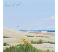 Bars Of Gold SHELTERS (Vinyl)