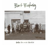 Bart Budwig – Another Burn If The. – Import – The Orchard