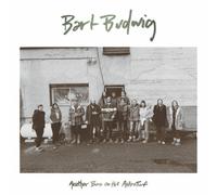Budwig, Bart - Another Burn If The. [Import]