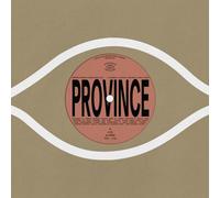 Bartees Strange - Province / Ever New [Vinyl]