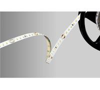 Barthelme 51542234 Ruban LED 24 V 5000 mm blanc froid 5 m