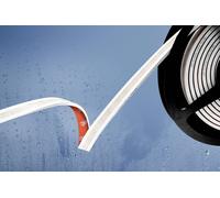 Barthelme 51542534 Ruban LED 24 V 5000 mm blanc froid 5 m
