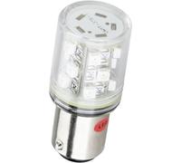 Barthelme 52190215 Ampoule LED blanc BA15d 24 V/DC, 24 V/AC 42 lm