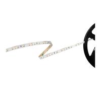 Barthelme Basic 60 51541128 Ruban LED avec câble à extrémités ouvertes 12 V 5 m