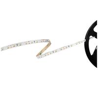 Barthelme Basic 60 51541133 Ruban LED CEE: G (A - G) avec câble à extrémités ouvertes 12 V 5 m blanc neutre 1 pc(s)