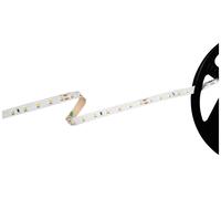 Barthelme Basic 70 51541228 Ruban LED CEE: F (A - G) avec câble à extrémités ouvertes 24 V 5 m blanc chaud 1 pc(s)