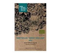 Bartnelke 'Sweet William' (Dianthus barbatus) Bio - env. 100 Ensemble