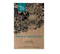 Bartnelke 'Sweet William' (Dianthus barbatus) - environ 100 Ensemble