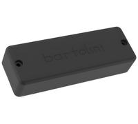 Bartolini Bartolini Classic Bass MJ Soapbar Bridge
