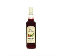 Bartonik Sirop de fraise et citron 60% 0,5l
