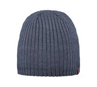 Barts Bonnet Wilbert Bonnets de Ski Bonnets pour l'hiver (Taille Unique - Bleu)