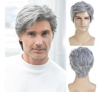 Baruisi Perruque courte grise synthétique résistante à la chaleur pour homme