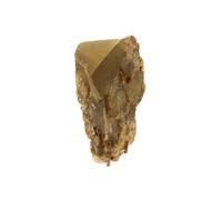 BARYTE SCEPTRE - Pierre Naturelle en Provenance de France, Olloix - Rare cristal de baryte, collection de Mineralp 1110.1 ct - Certificat
