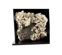 BARYTE + SPHALERITE en provenance de FRANCE, Saint-Laurent-le-Minier - Pierre naturelle rare et unique, caractéristique SEO 1294.5 ct - Certificat d'Authenticité Inclus 80 x 75 x 35 mm G