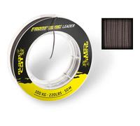 Black Cat Front Zone 50 M Braided Line Doré 0.800 mm
