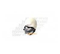 Bas De Masque De Protection Néoprène Tête De Mort