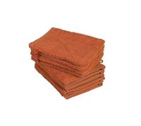 BaSaTex - Lot de 10 Gants de Toilette pour Le Visage - Serviettes en éponge avec Boucle de Suspension en Coton Doux de 15x21cm - Serviettes invité certifiées Öko-Tex Made in Green - Terra