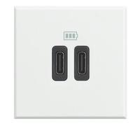 Base chargeur USB C+C3A 5V 230VBTICINO Axolute HD4286C2Blanc 2 modules