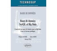 BASE DE DONNÉES - Bases de données NoSQL et Big Data - Concevoir des bases de données pour le Big Data, Cours et travaux pratiques (niveau B) Philippe Lacomme (Auteur), Sabeur Aridhi (Auteur), Raksmey