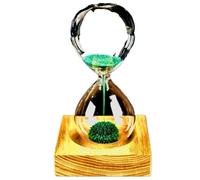 Base en bois poudre de fer fleur aimant magnétique sablier ornements décoratifs(Green)