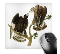 Base en Caoutchouc Tapis De Souris Buse Pattue, Faucon, Oiseaux De Proie, Audubon, Art Vintage 25X30Cm, Souris De Gaming Antidérapante Tapis De Bureau pour Joueurs Professionnels Pc Souris
