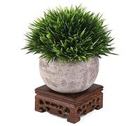 Base en verre pour bonsa?, plateau bois théière pratique décoratif pour bureau et maison