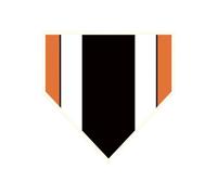 Baseball Training Plate, Pitching Hitting Mat, Non-Slip Weatherproof Base, High Visibility Target, for Backyard Field Players Referees Beginners Batters Use, 15.75x23.62 inches