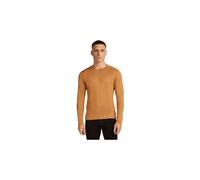 Baselayer icebreaker merino 260 tech marron homme