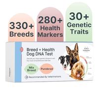 Basepaws Kit de test ADN pour chien - Plus de 300 races, plus de 280 risques pour la santé et plus de 30 traits - Identification complète de la santé, des traits et des races mixtes, kit de test ADN