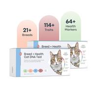 Basepaws Lot de 2 Kits de Test ADN de Chat - Analyse complète de la Race, de la santé et des Dents sur 114 Traits pour des informations génétiques précises et faciles à Utiliser