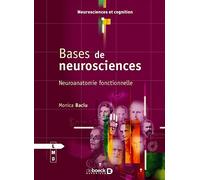 Bases de neurosciences: Neuroanatomie fonctionnelle