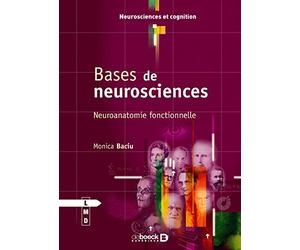Bases de neurosciences: Neuroanatomie fonctionnelle