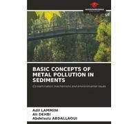 BASIC CONCEPTS OF METAL POLLUTION IN SEDIMENTS: Contamination mechanisms and environmental issues