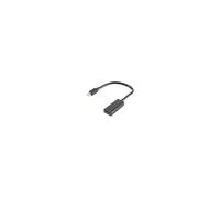 BASIC-S Adaptateur 1.4, Mini DisplayPort - HDMI