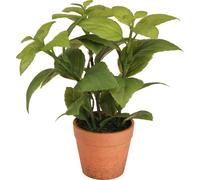 Basilic artificiel Pot d'herbes aromatiques Décoration 22cm 2er Set