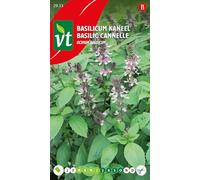 Basilic cannelle - Parfum et goût de cannelle