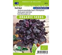 Basilic, Dark Opal - Graines Biologiques