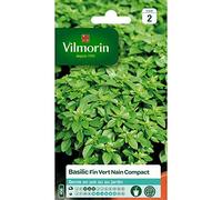 Basilic Fin Vert Compact