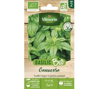 Vilmorin Basilic Genovese bio