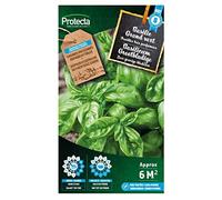 Basilic Grand vert- Protecta Graines paysanne