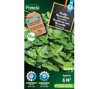 Basilic Marseillais- Protecta Graines paysannes - Env. 2 gr | 643-Protecta