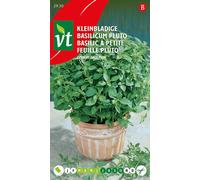 Basilic Pluto Avec Petites Feuilles Graines - Environ 0,4 gr | VT_2930