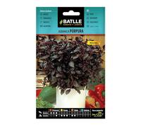 BASILIC POURPRE