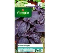 Basilic Pourpre Vilmorin G